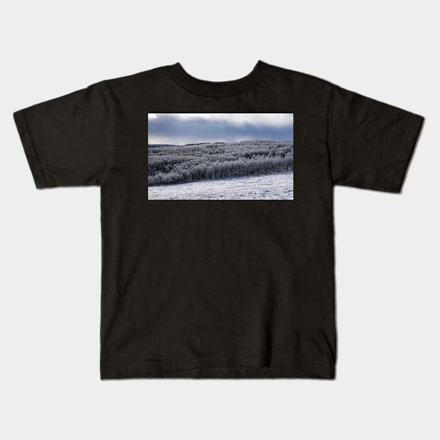 Foothills after Fresh Snow. Kids T-Shirt by CanadianWild418